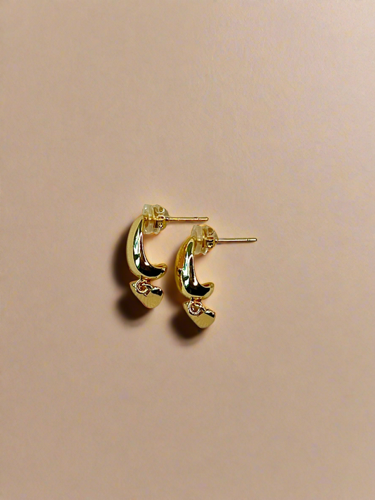 Pulse Earrings